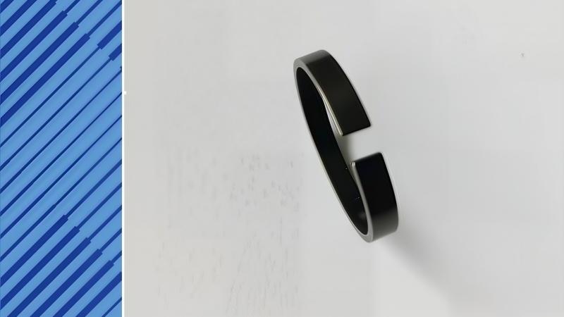 5100850160 PISTON RING 